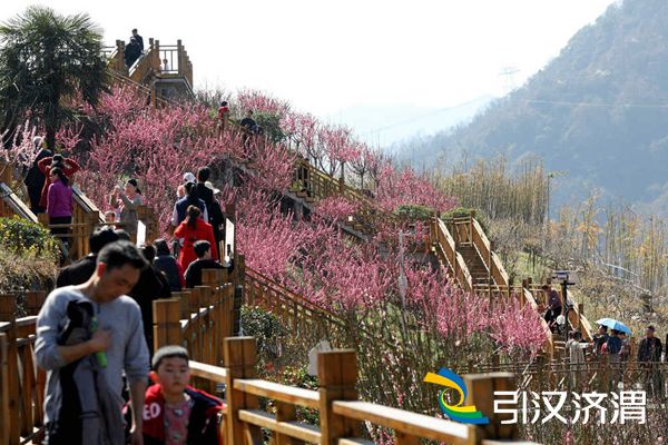 2月21日，游客在子午梅苑内游览拍照。杨宁摄