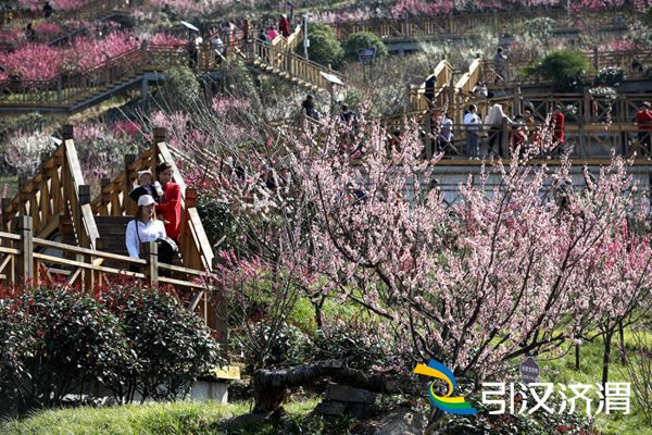 2月21日，游客在子午梅苑内游览拍照。杨宁摄