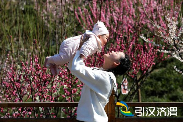 2月21日，一位母亲带着宝宝在子午梅苑内享受春光春色。杨宁摄